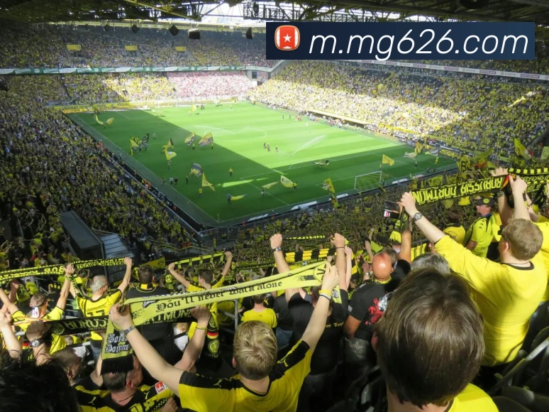 MG冰球突破平台生态图